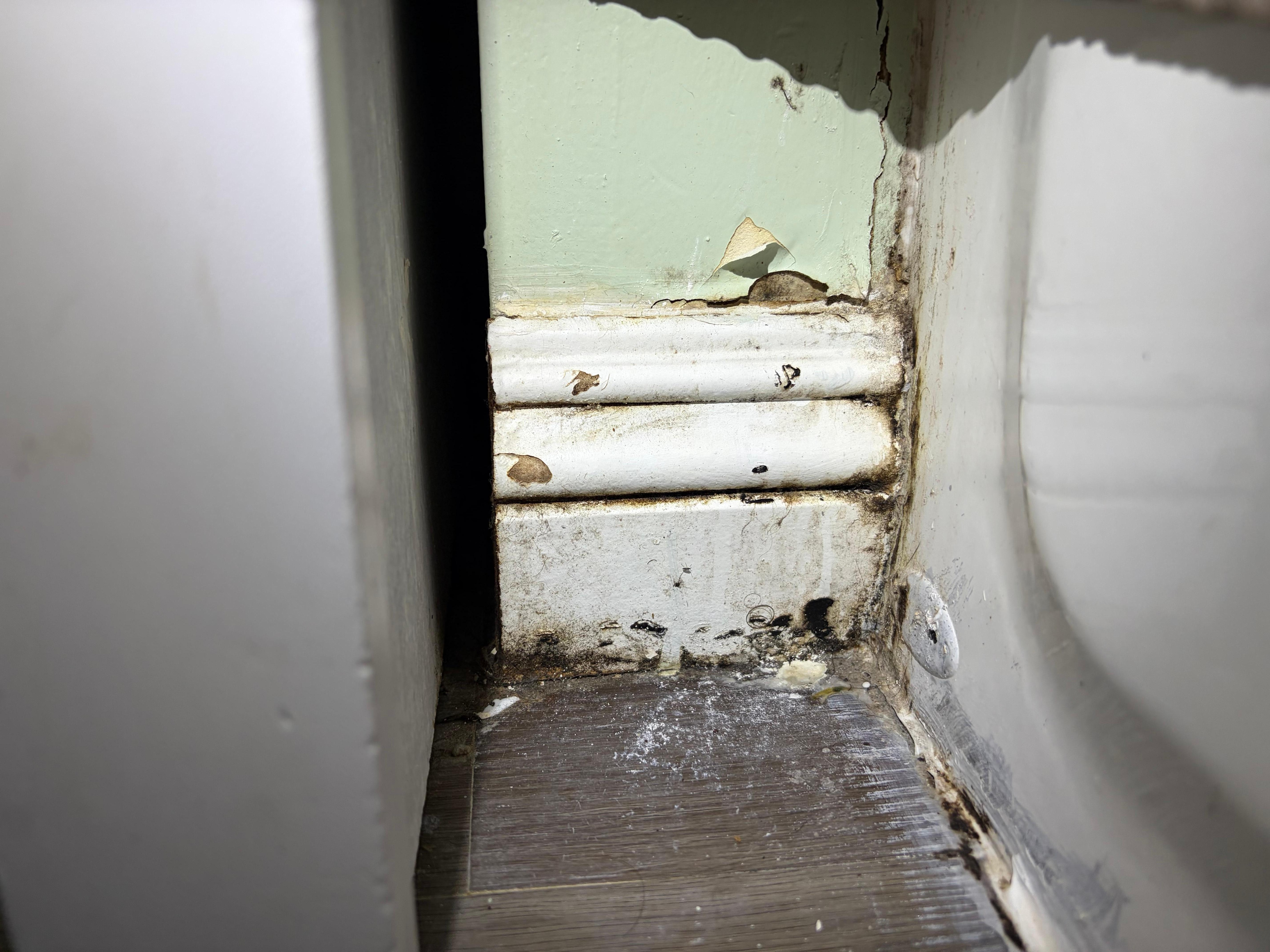Water damage and potential mold