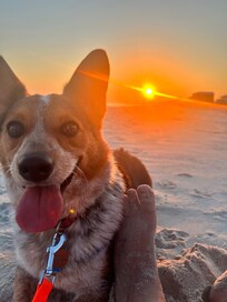 Enjoying the sunset.