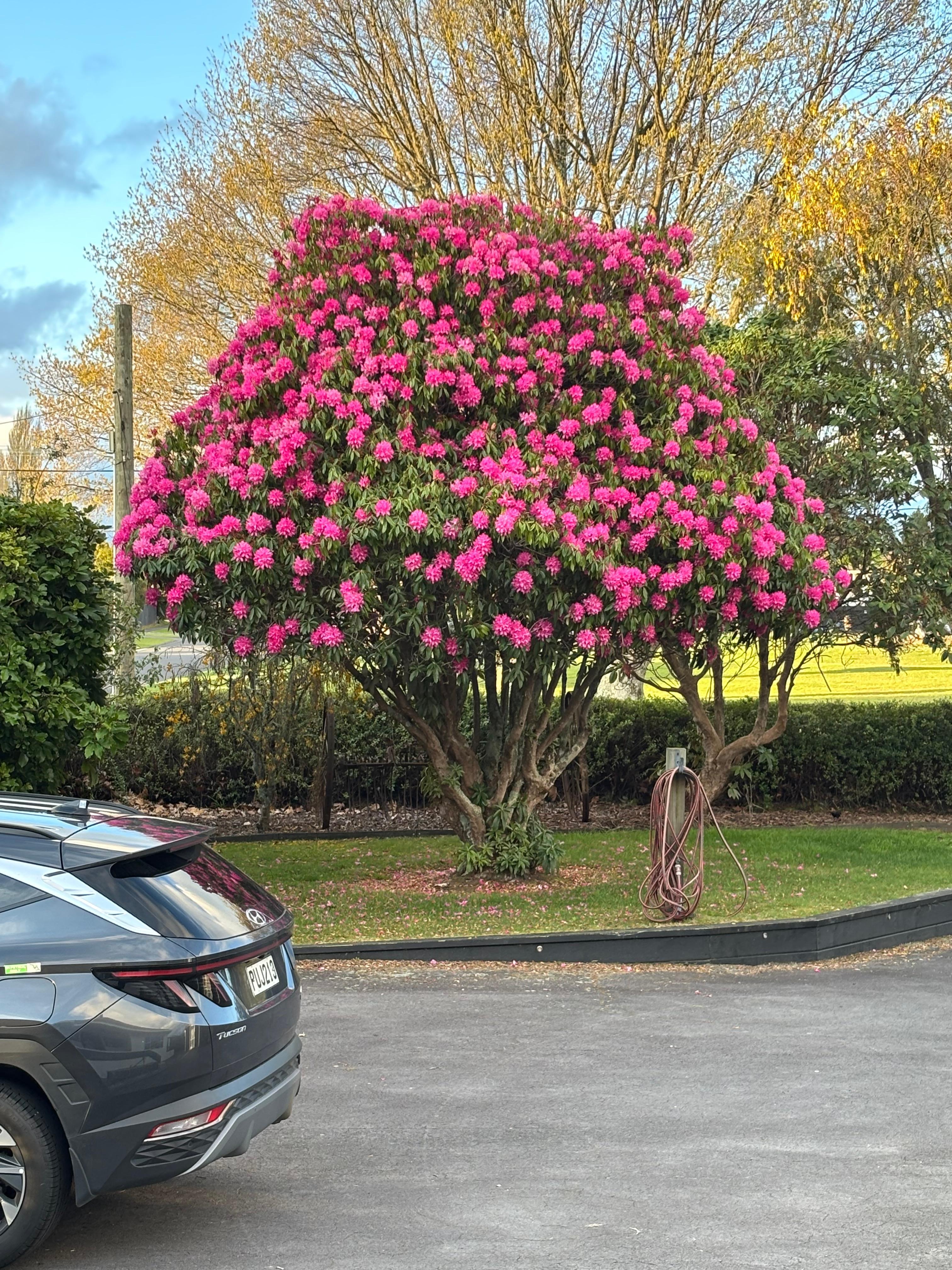 View from the front door