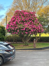 View from the front door