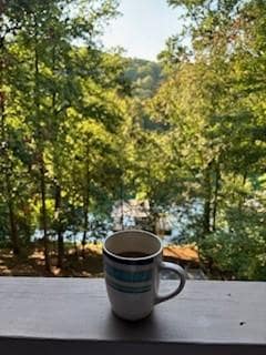 View from house of dock