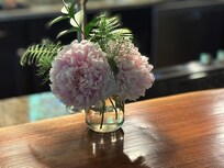 Beautiful flowers upon arrival