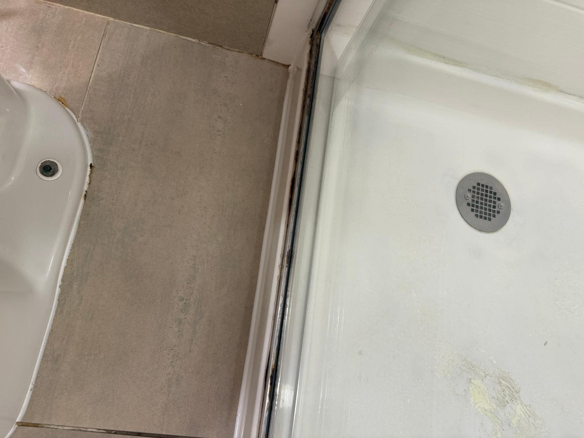 shower needs a deep cleaning