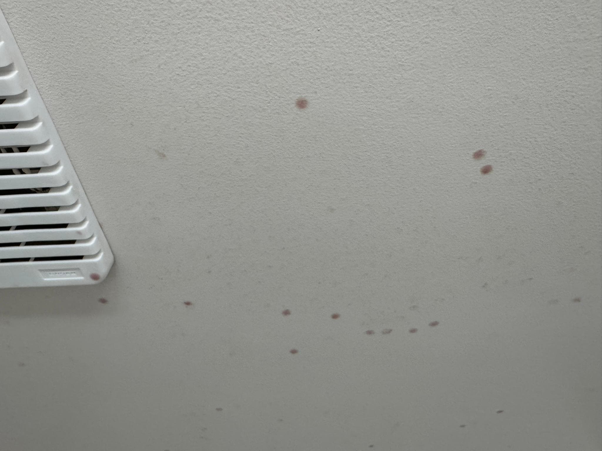 Condensation on toilet ceiling, forming red droplets.