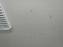 Condensation on toilet ceiling, forming red droplets.