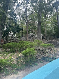 Area behind hotel with some trails