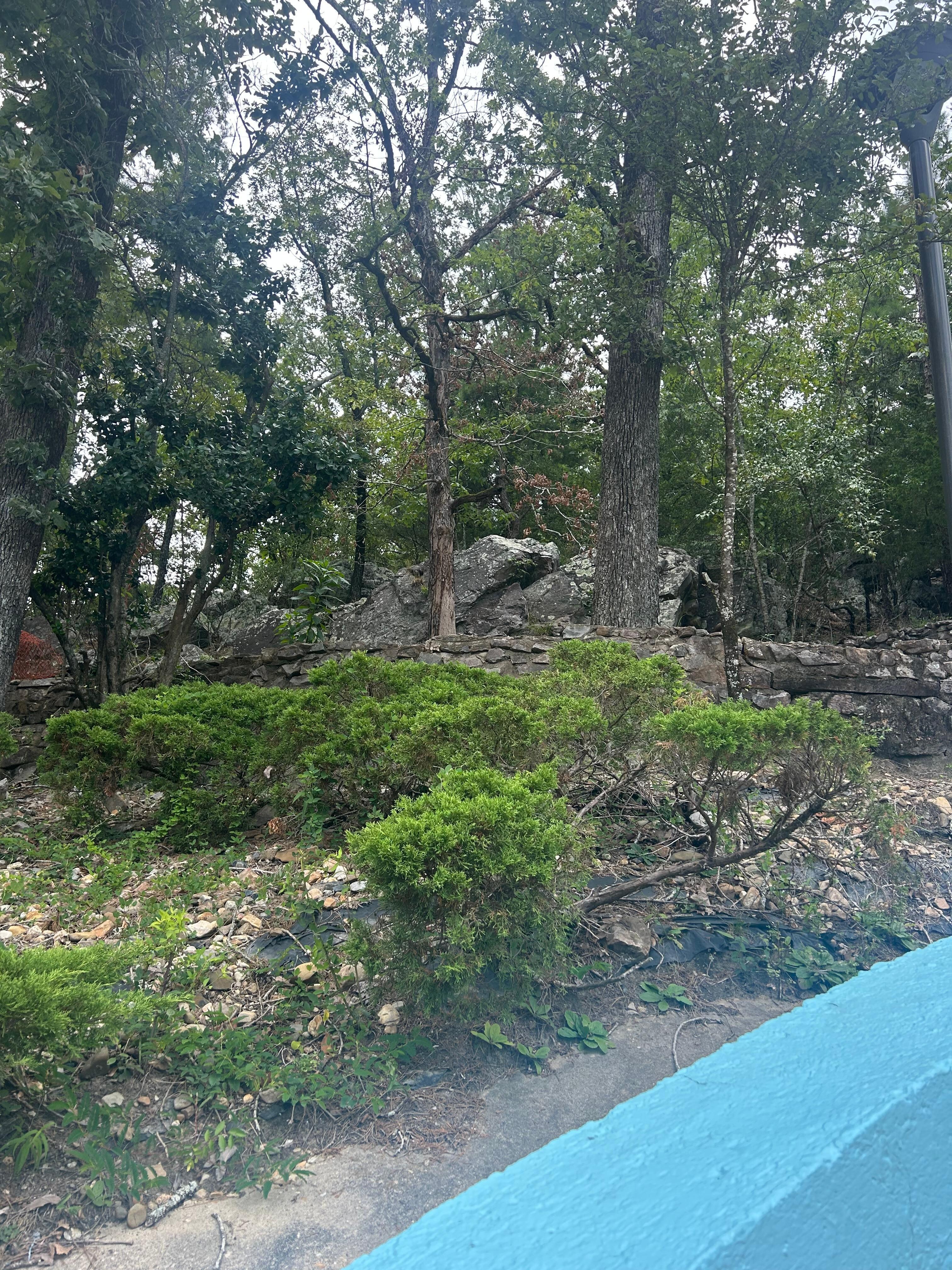 Area behind hotel with some trails