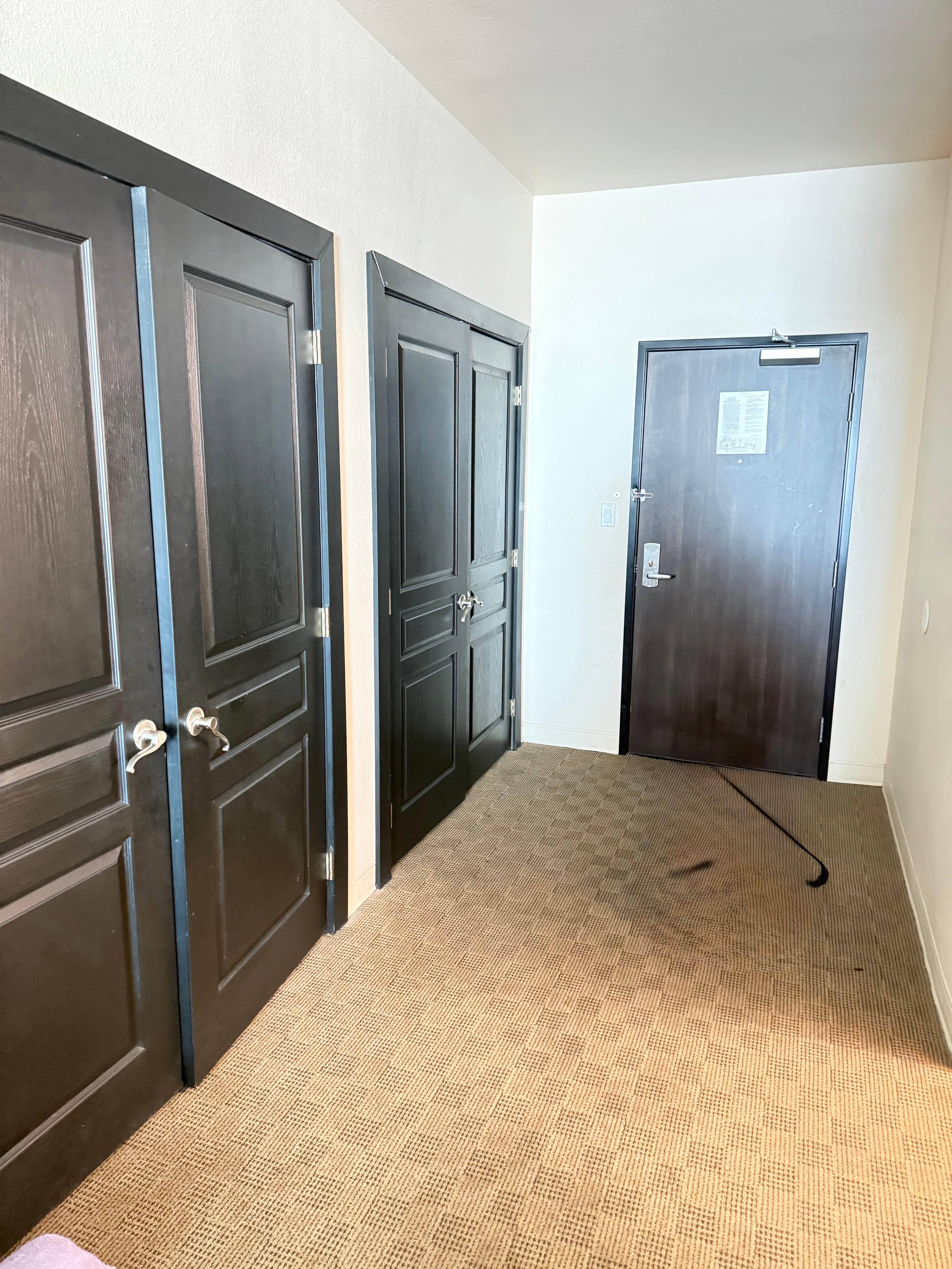 Entrance and those doors are closets to hang clothes. Very big. 