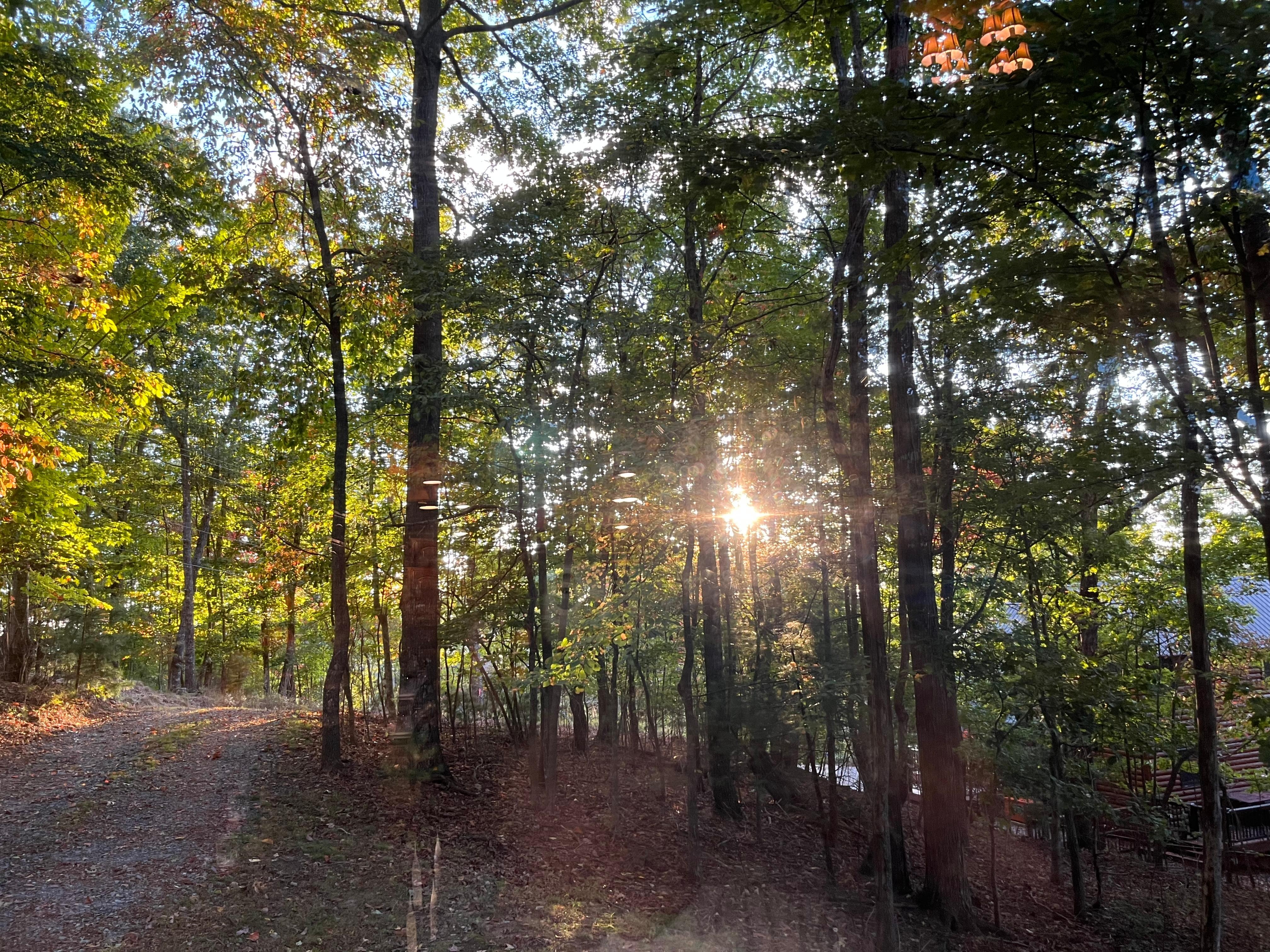 Sunrise from the porch. 