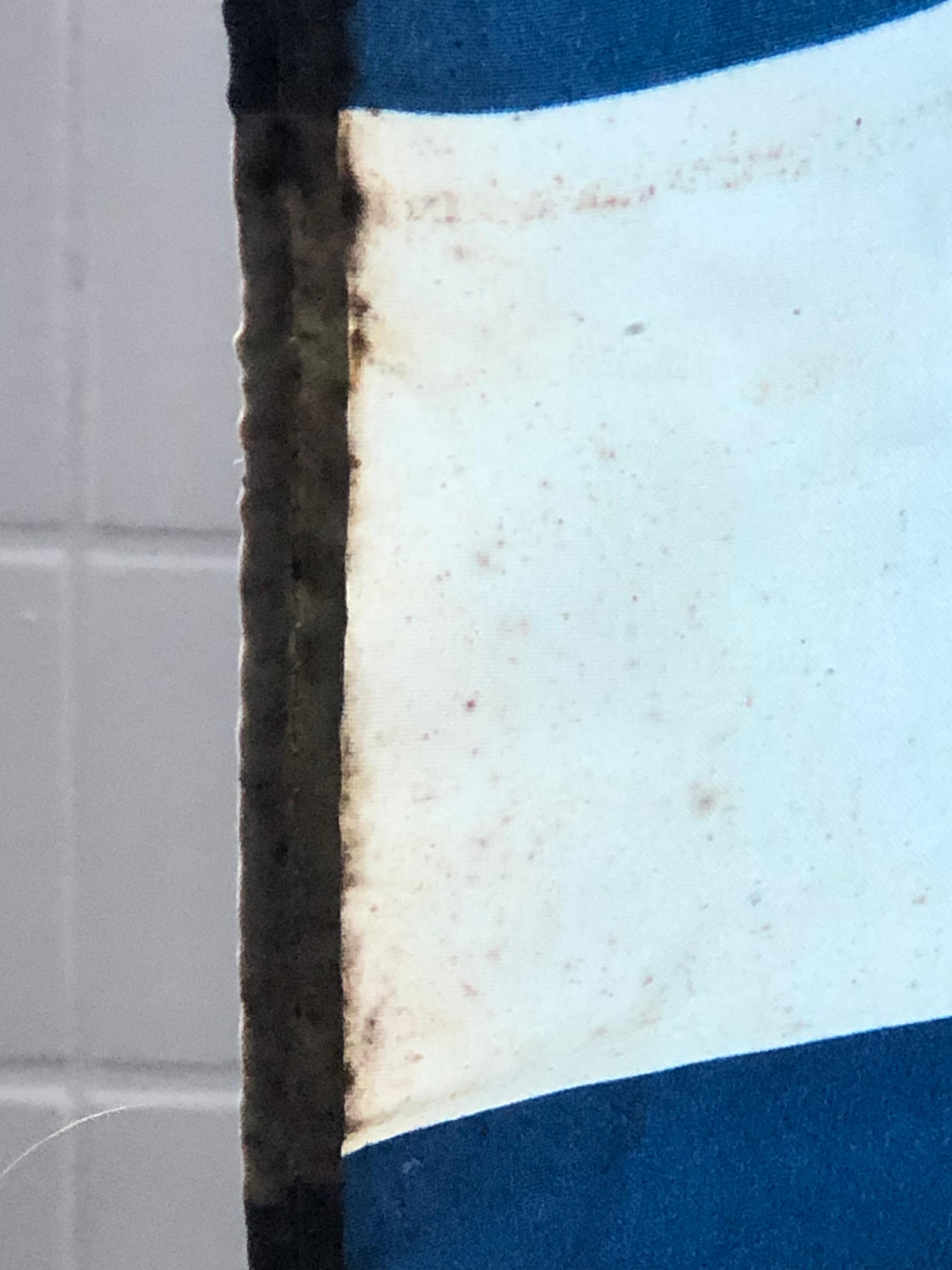 Ekelhafter Duschvorhang