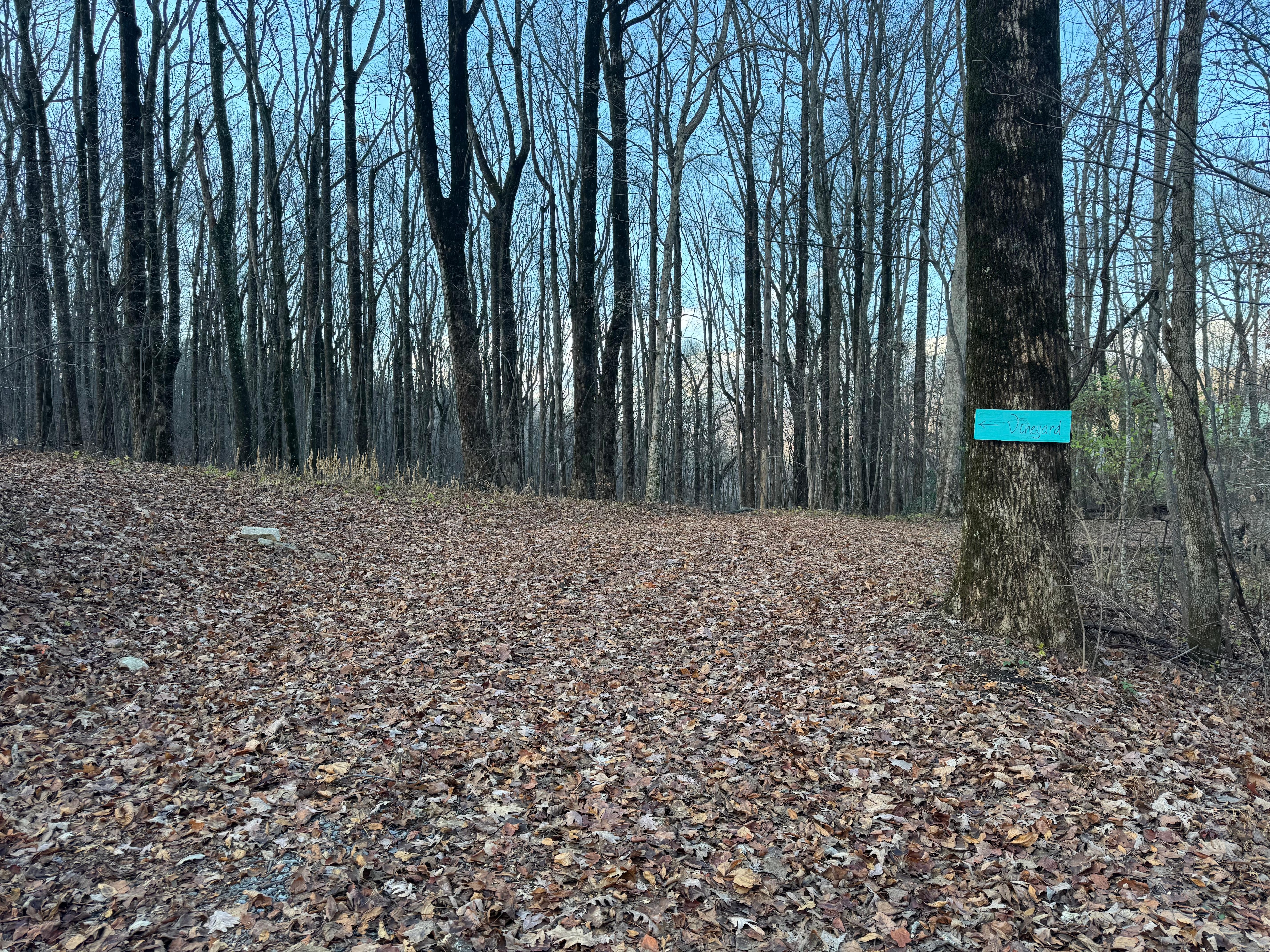 Walk to Fainting Goat