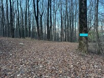 Walk to Fainting Goat