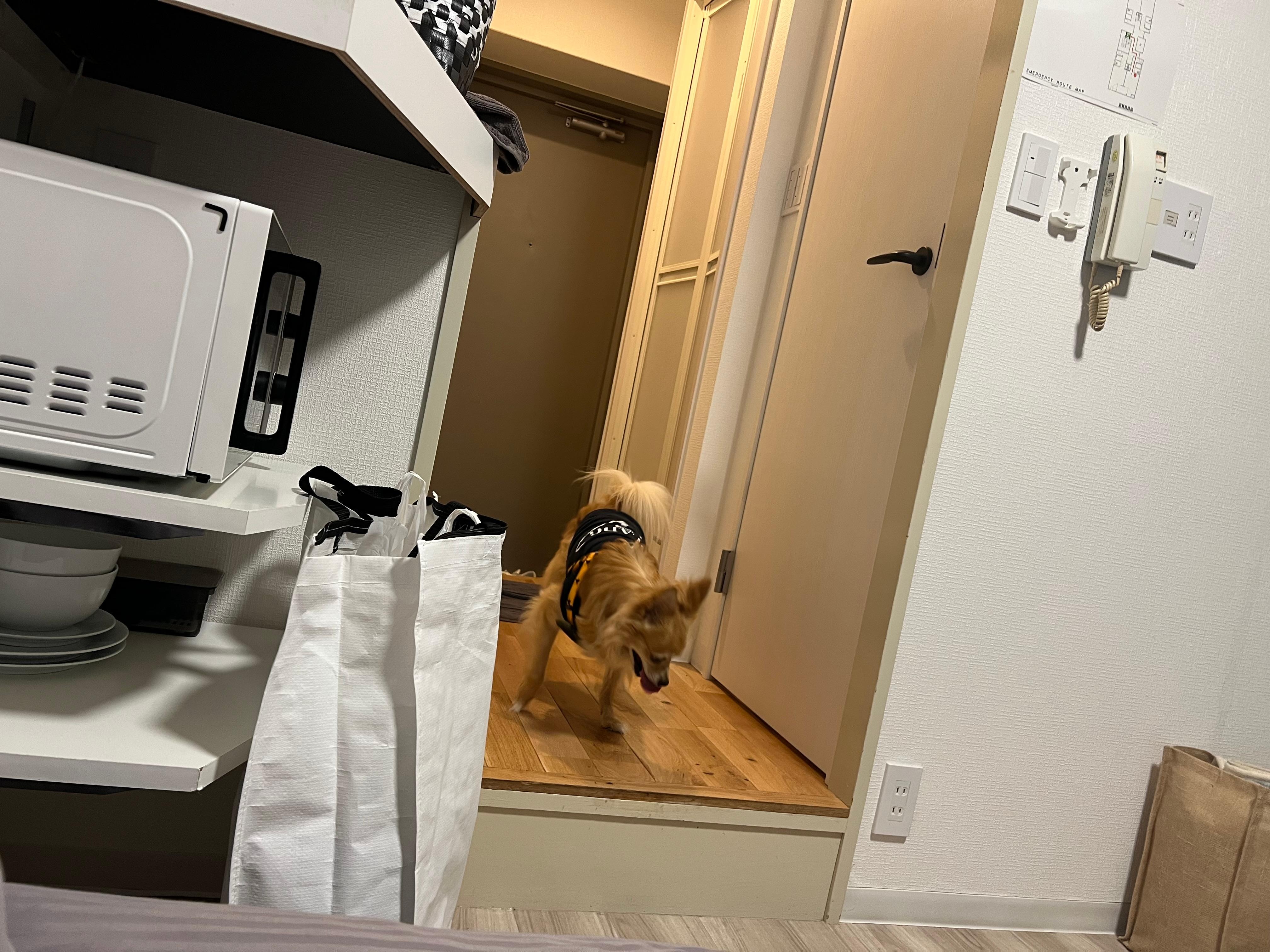 直ぐに部屋にも慣れました。