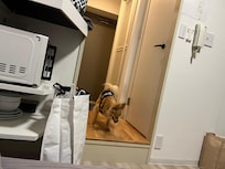直ぐに部屋にも慣れました。