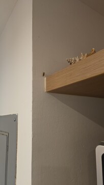 Cucarachas en la cocina