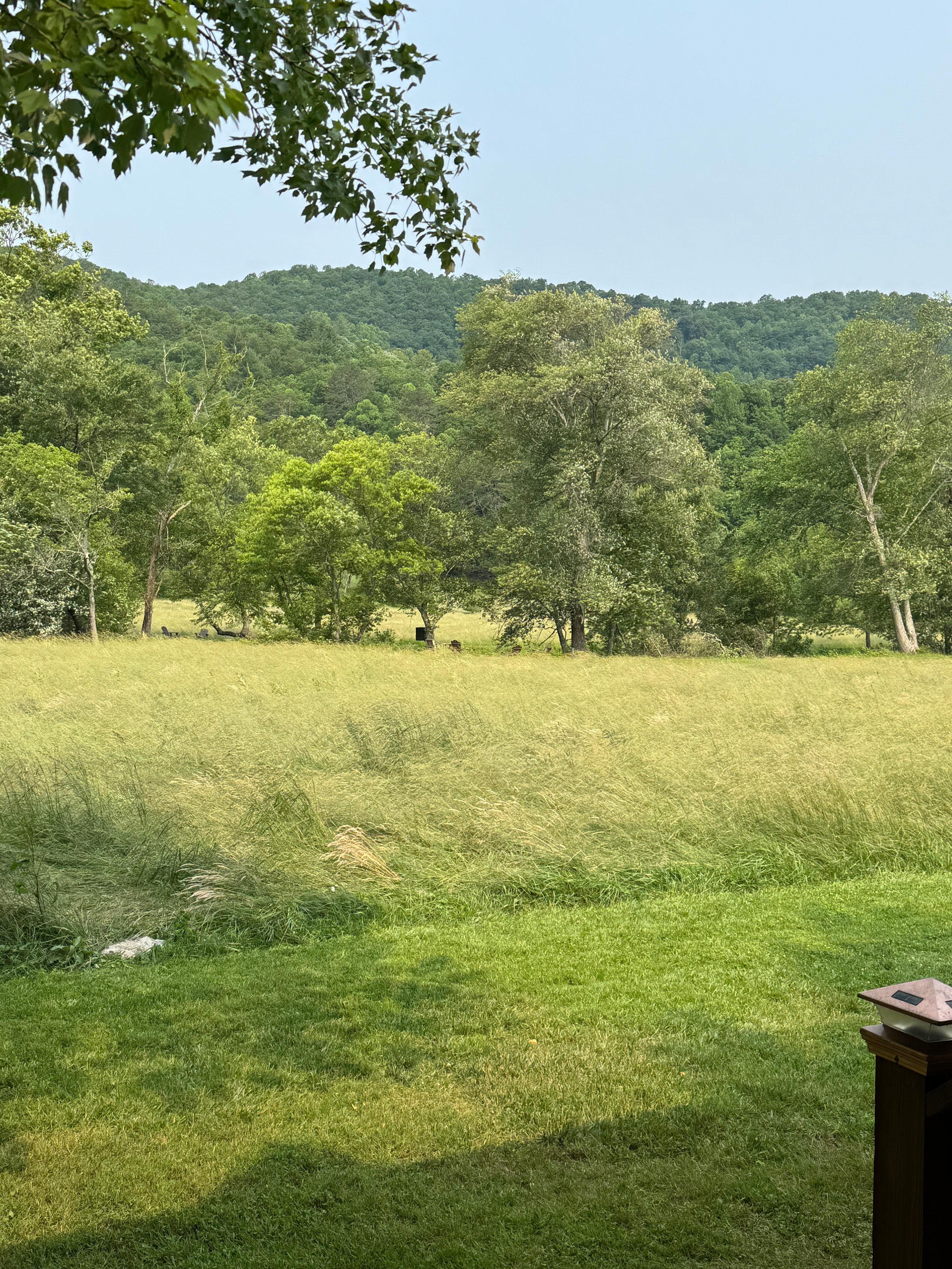 Back porch view, I bet in will be beautiful in the fall