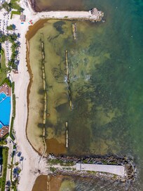 Despite them cleaning the beach every day. its covered with algae