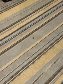 地上污漬還有瓜子殼