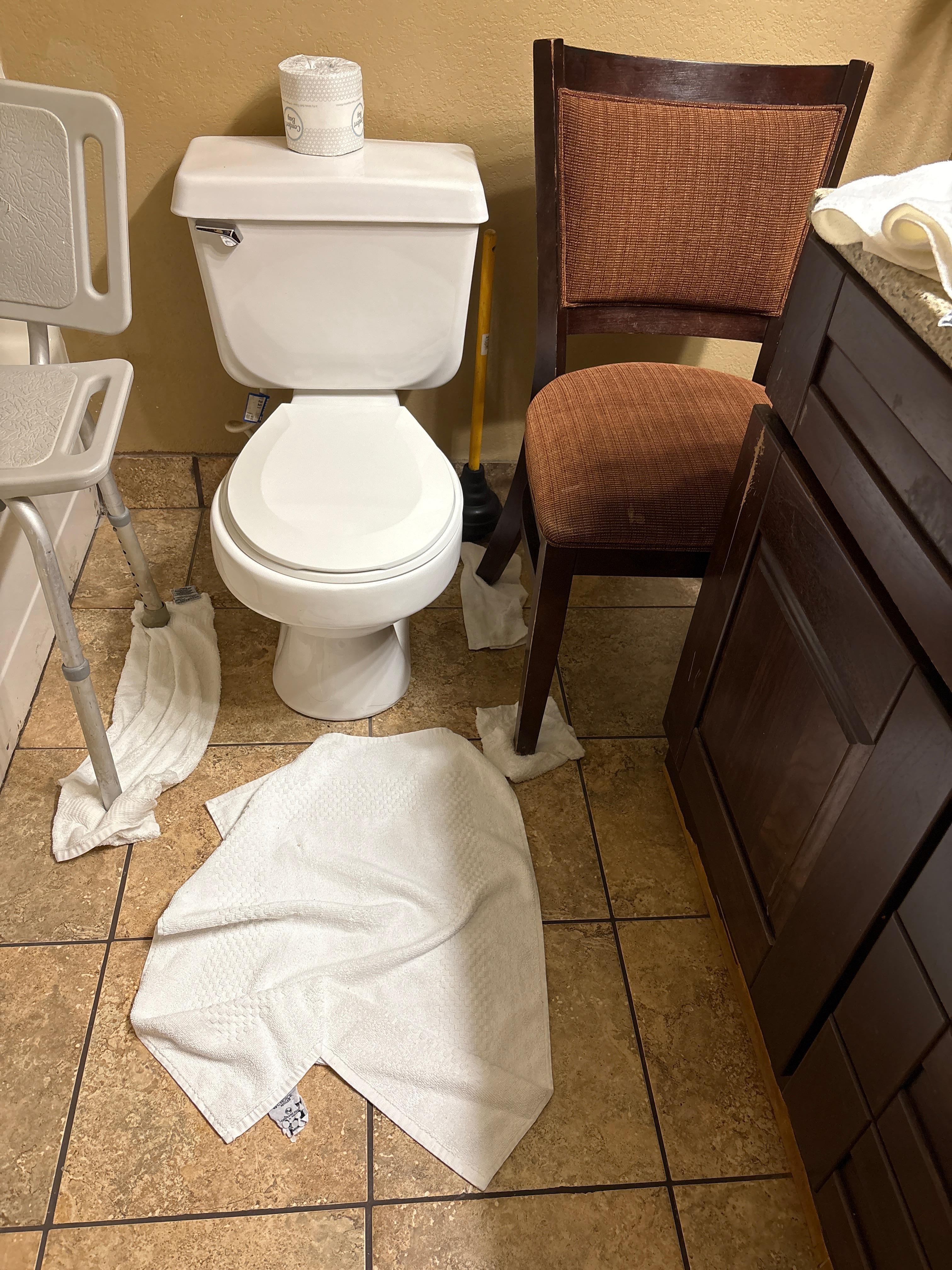 No handicap bars for a very low toilet  - got a handicap chair and used a chair from the table to help 93 ur old mother push herself up. 