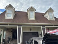 The entire house was green. This should have been my first clue when we arrived