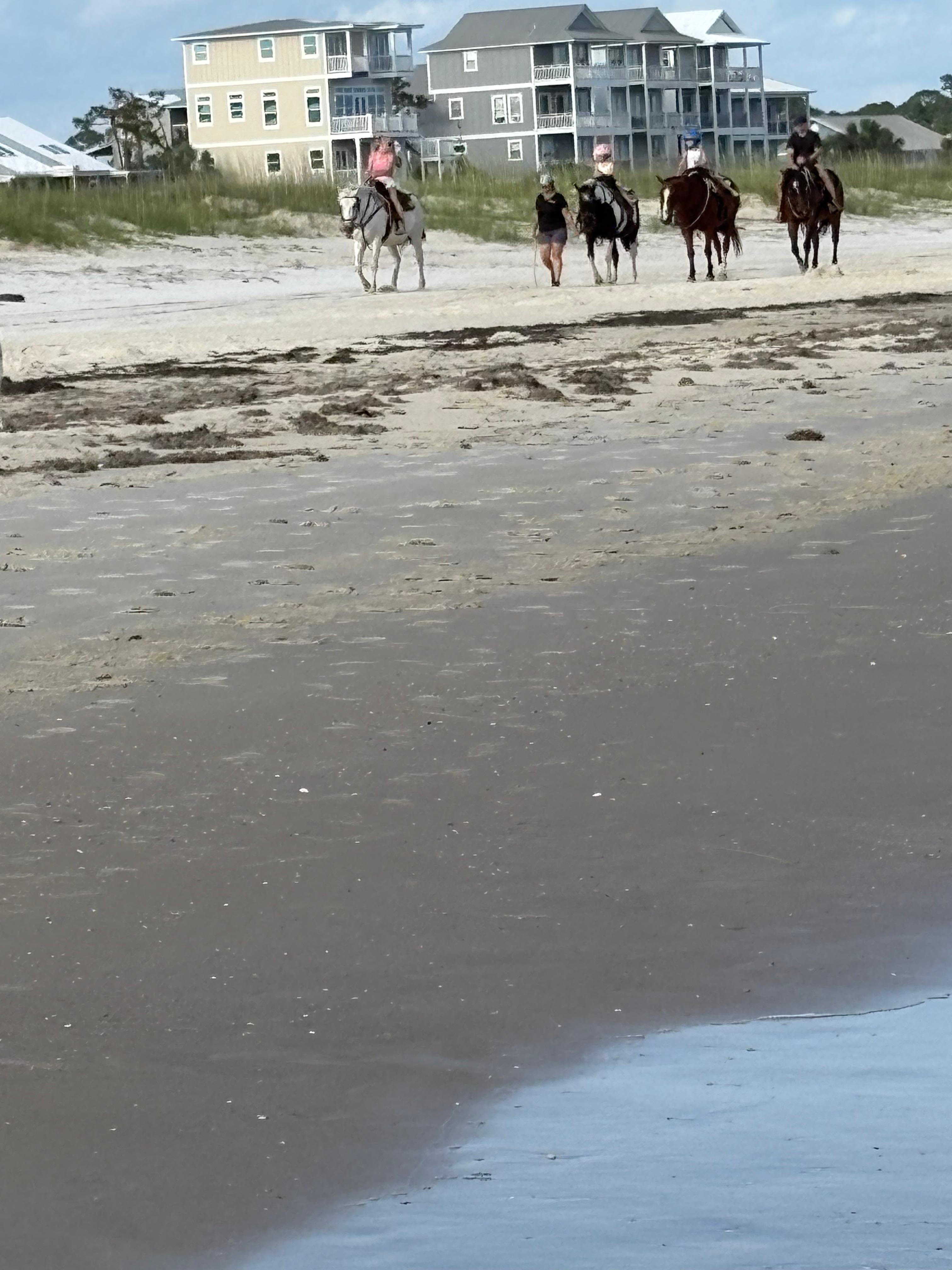 Horseback riding on the beach close to the house.