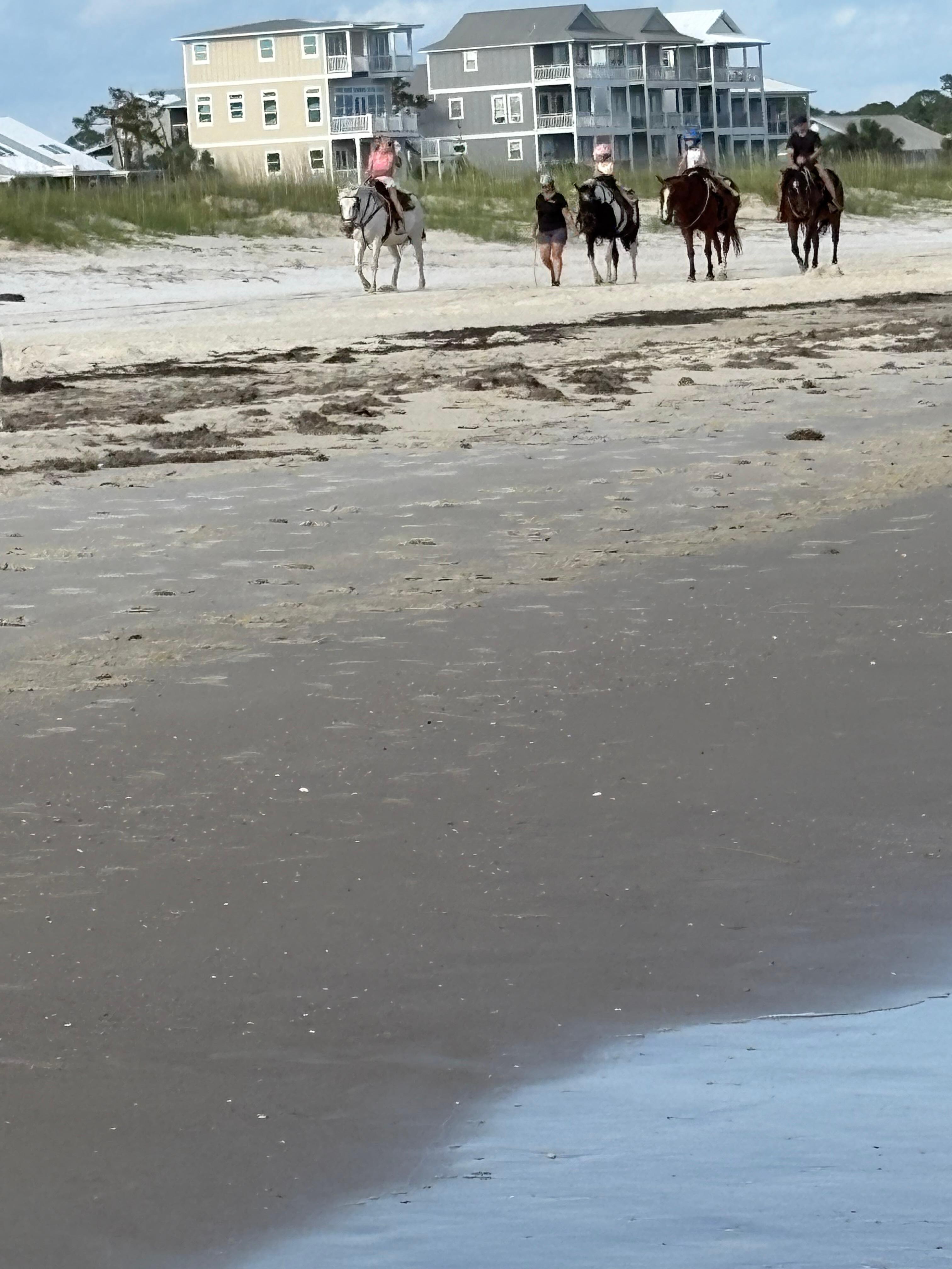 Horseback riding on the beach close to the house.