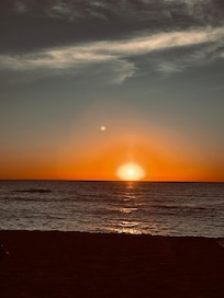 Venice beach
