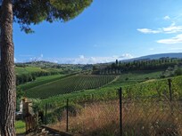 Blick auf San Gimignano