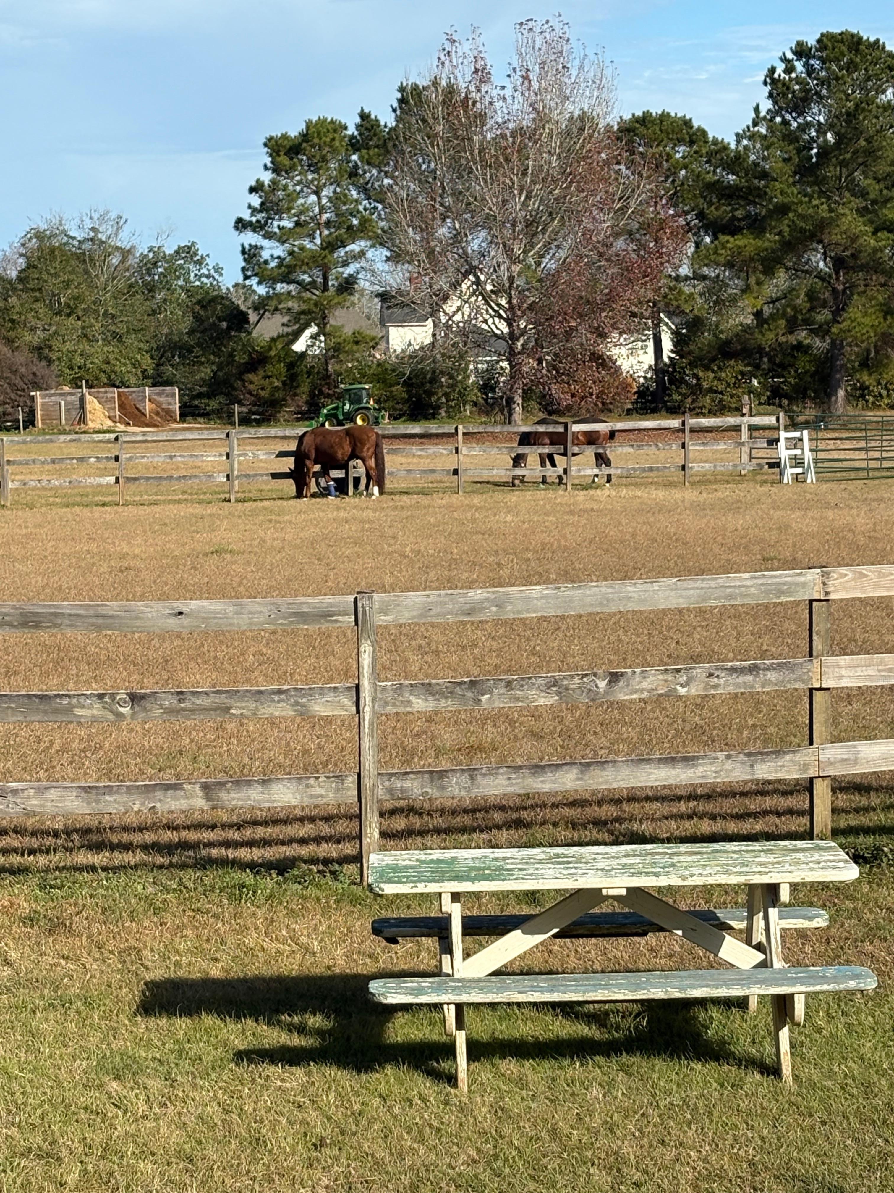 Porch View