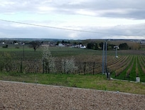 Vue sur les vignes depuis la cour de la maison