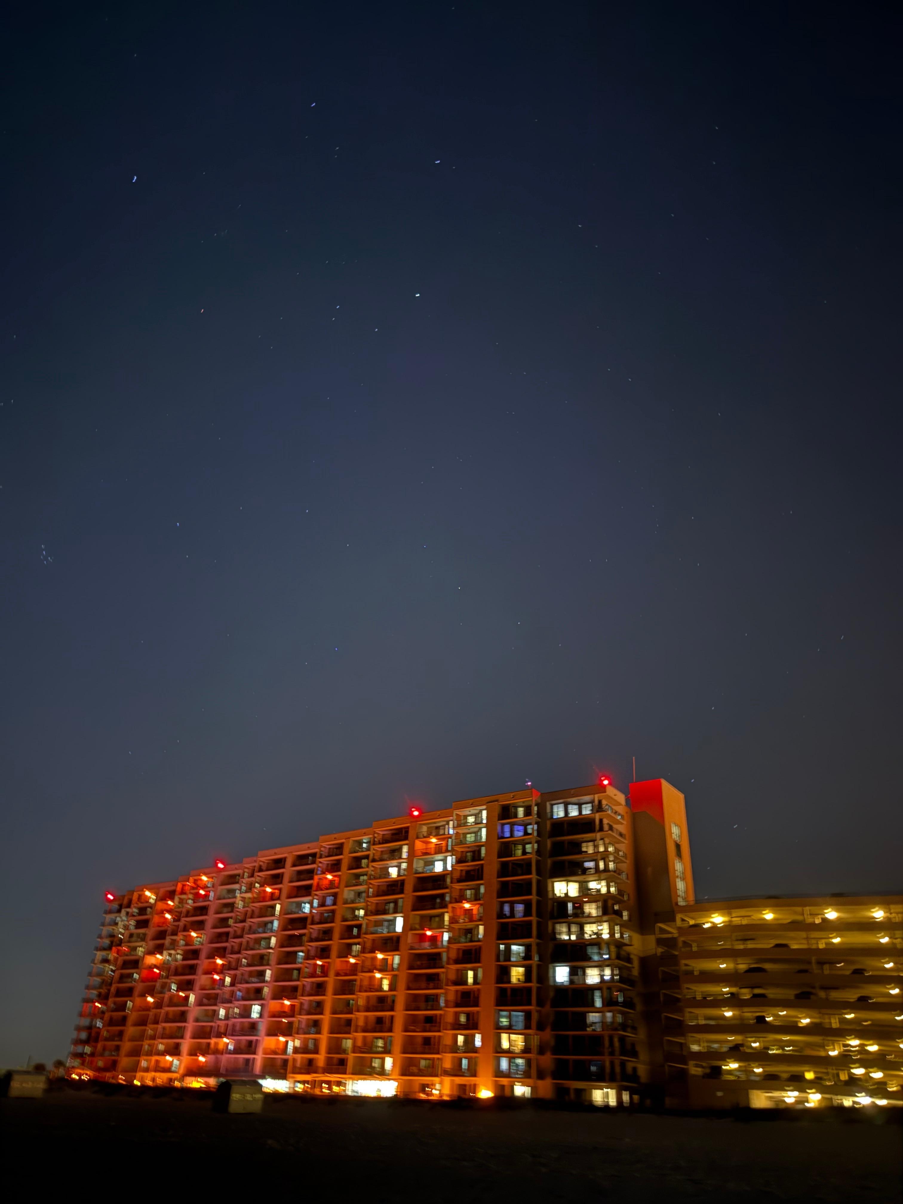 Phoenix under the stars.