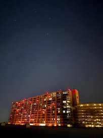 Phoenix under the stars.