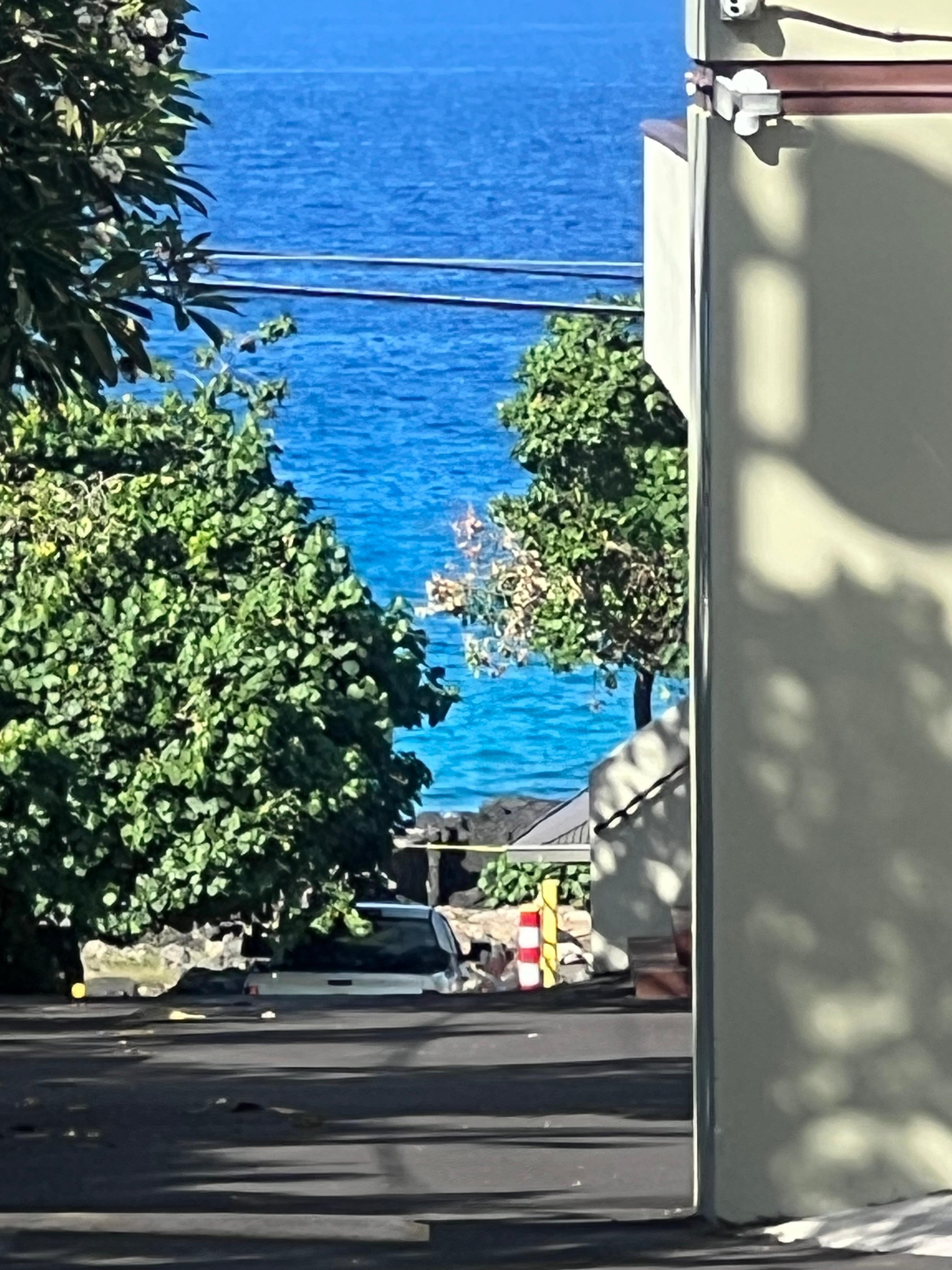 View from the driveway. 