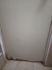 Bathroom door