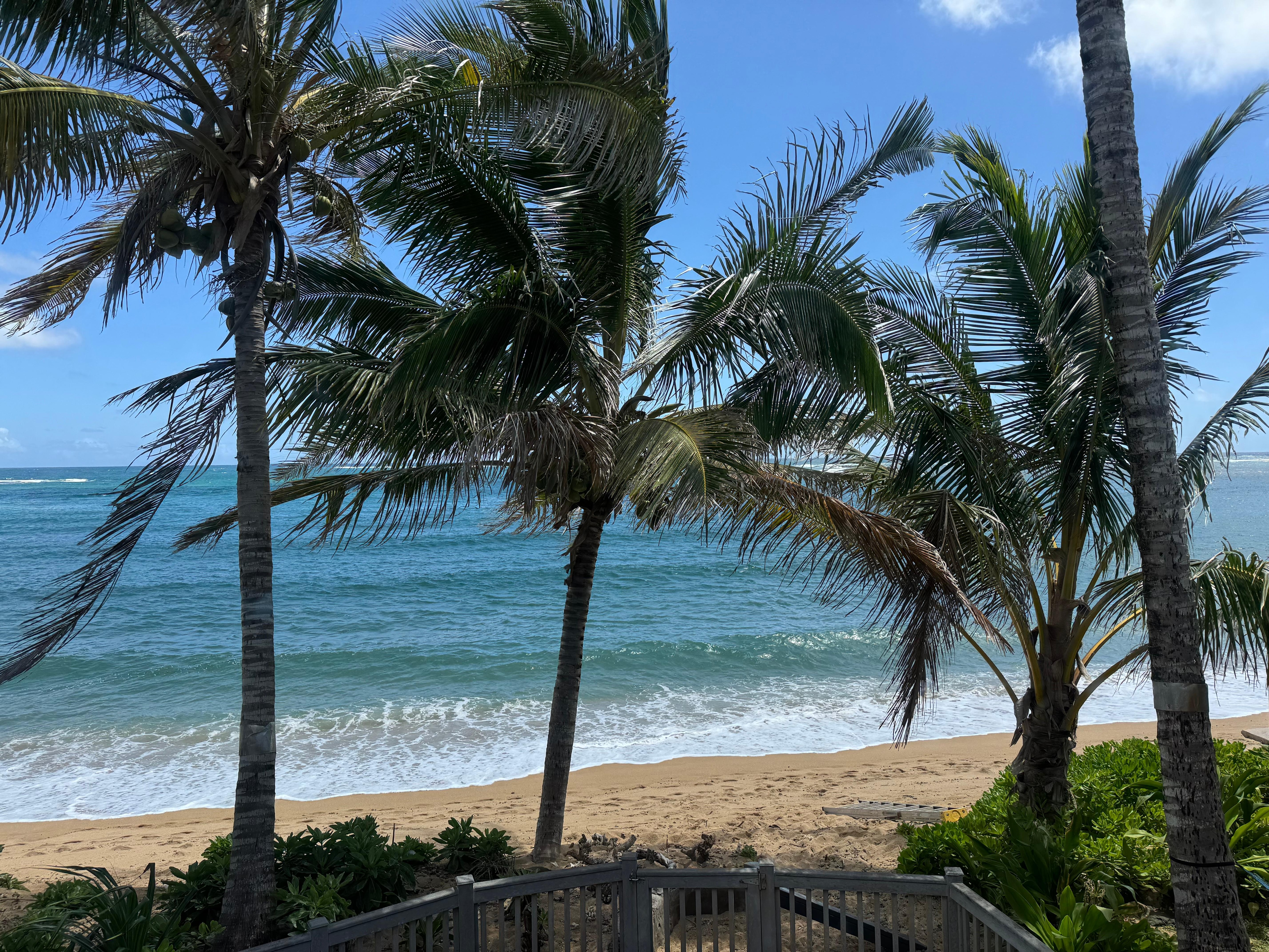 View from porch looking other direction 