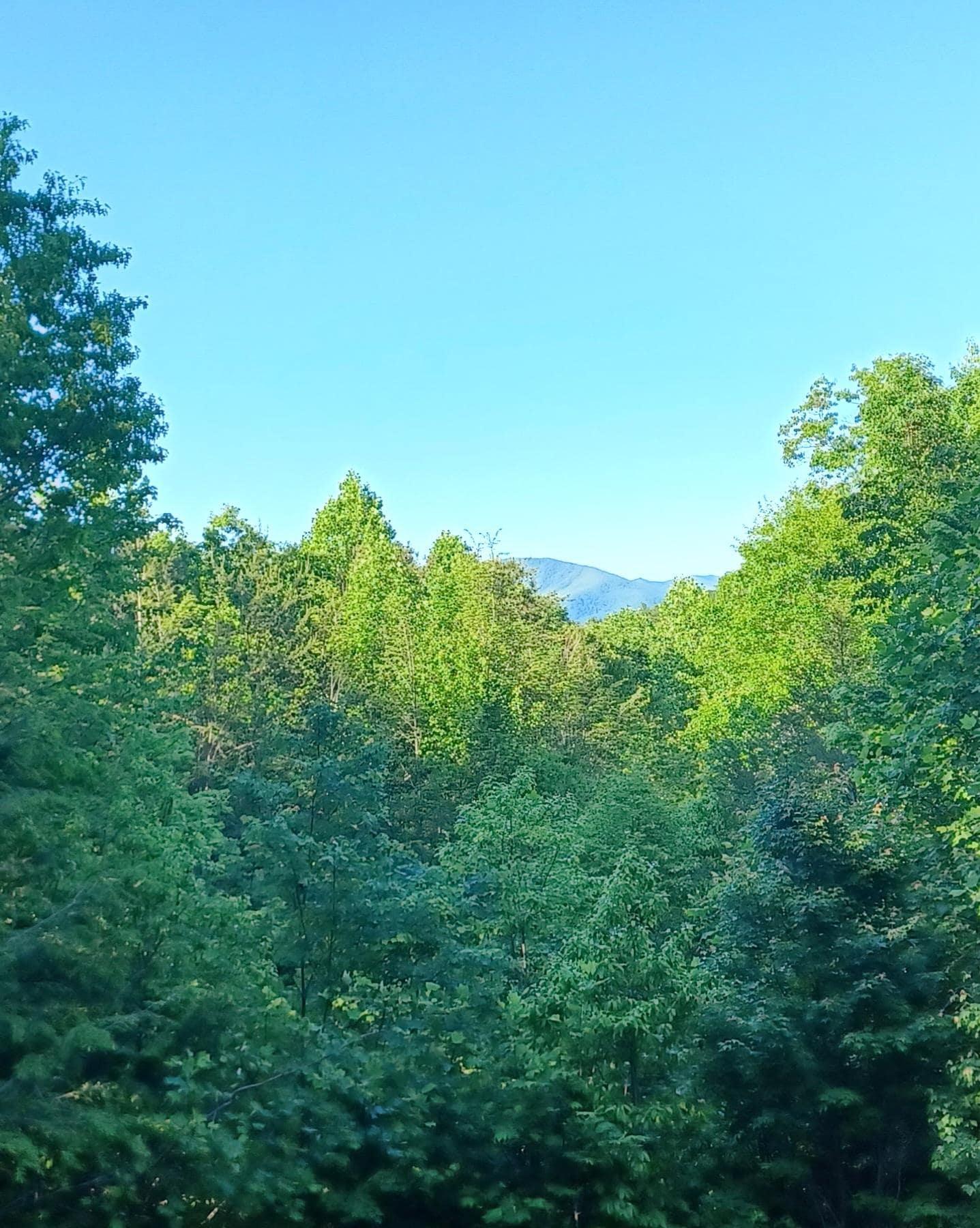 Porch view 