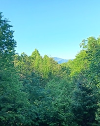 Porch view