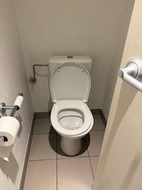 Toilet having a sewage smell