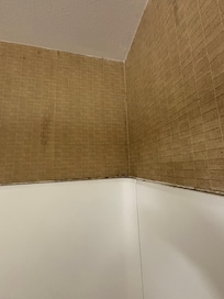 Mold in shower