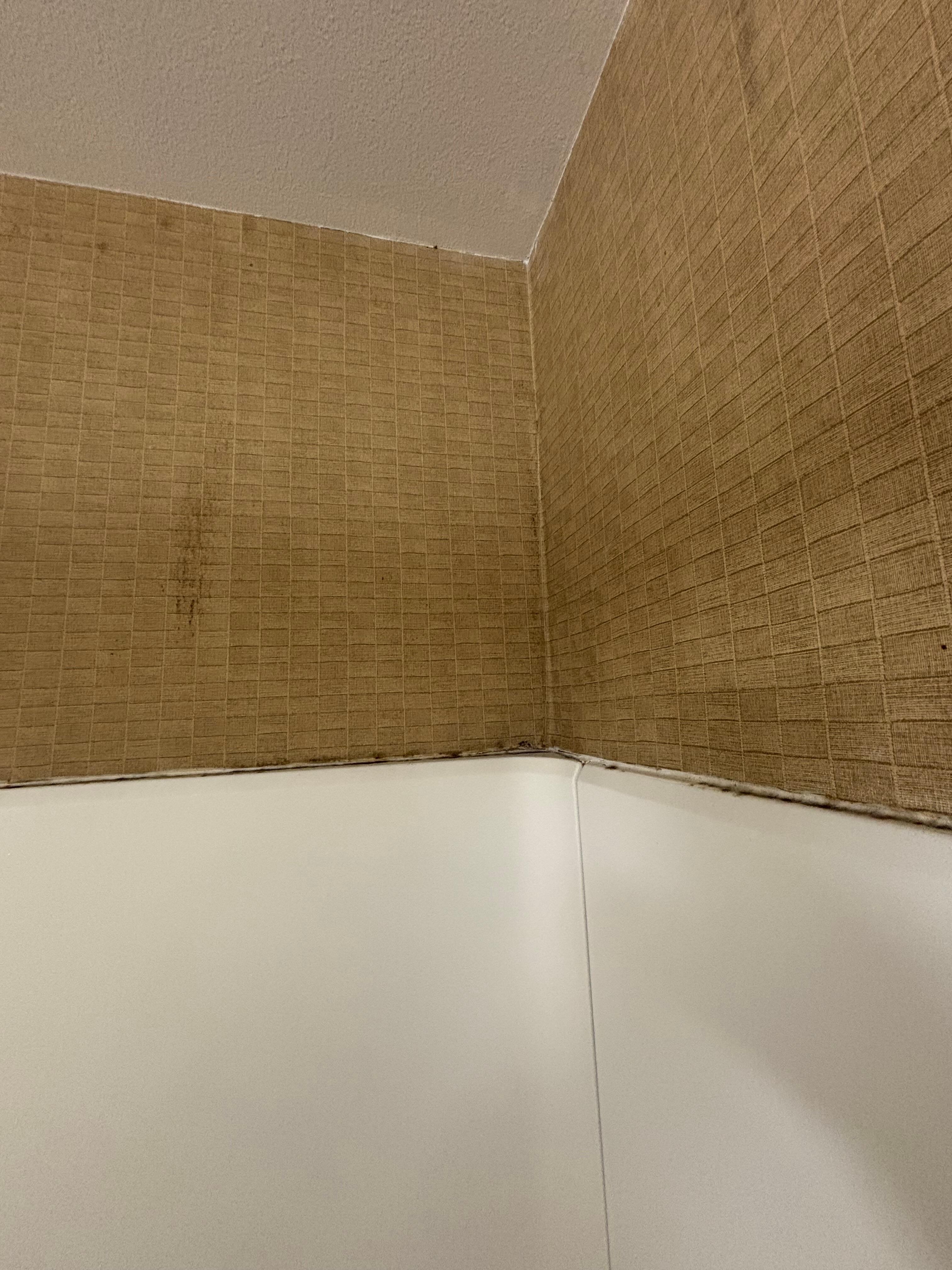Mold in shower