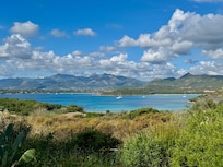 View from the backyard