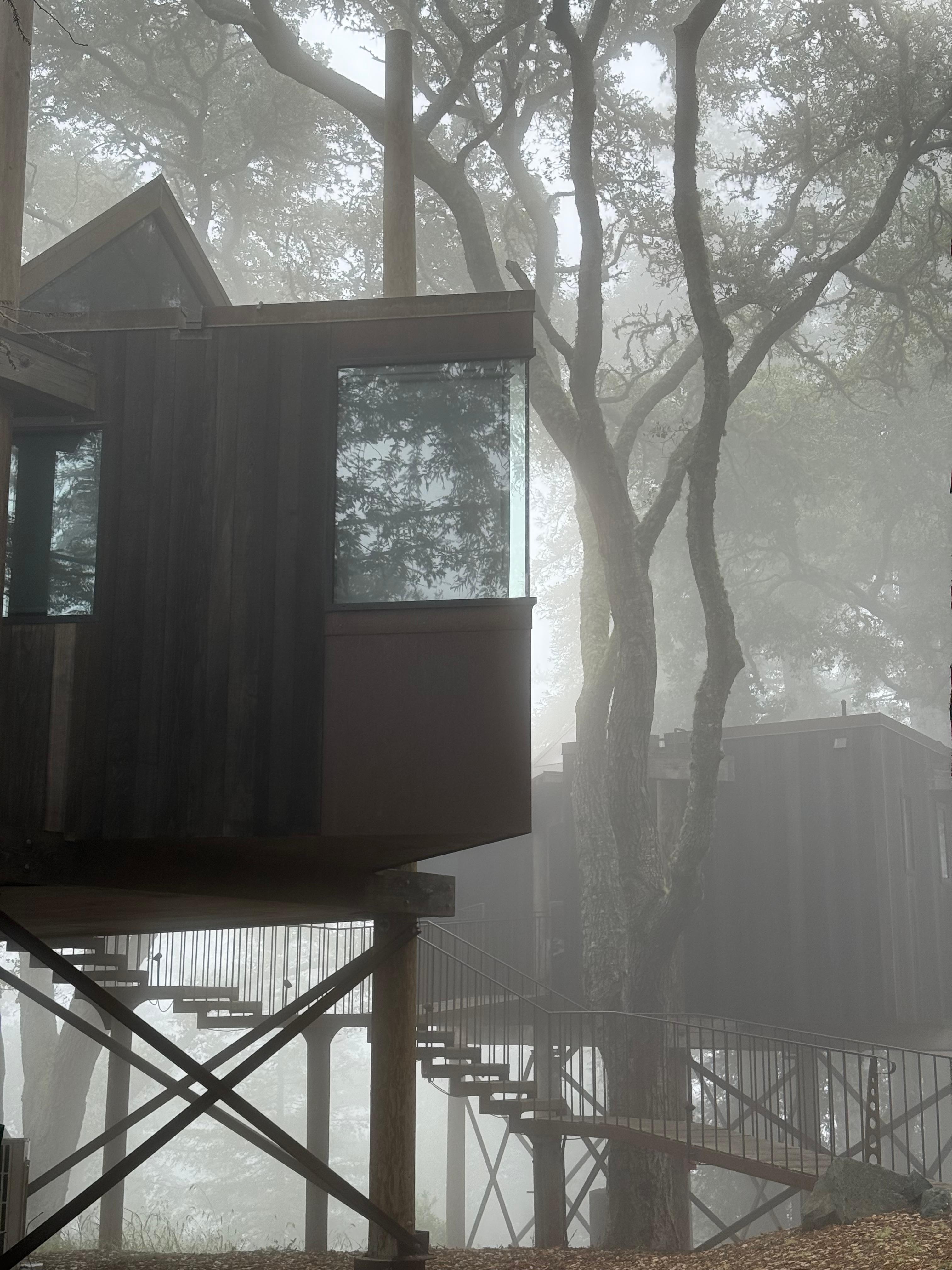 Tree house