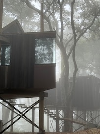 Tree house
