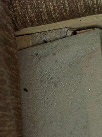 This was under the cushions on the sleeper sofa. I did not unfold the sleeper.