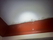 Water leak / mold on room ceiling.