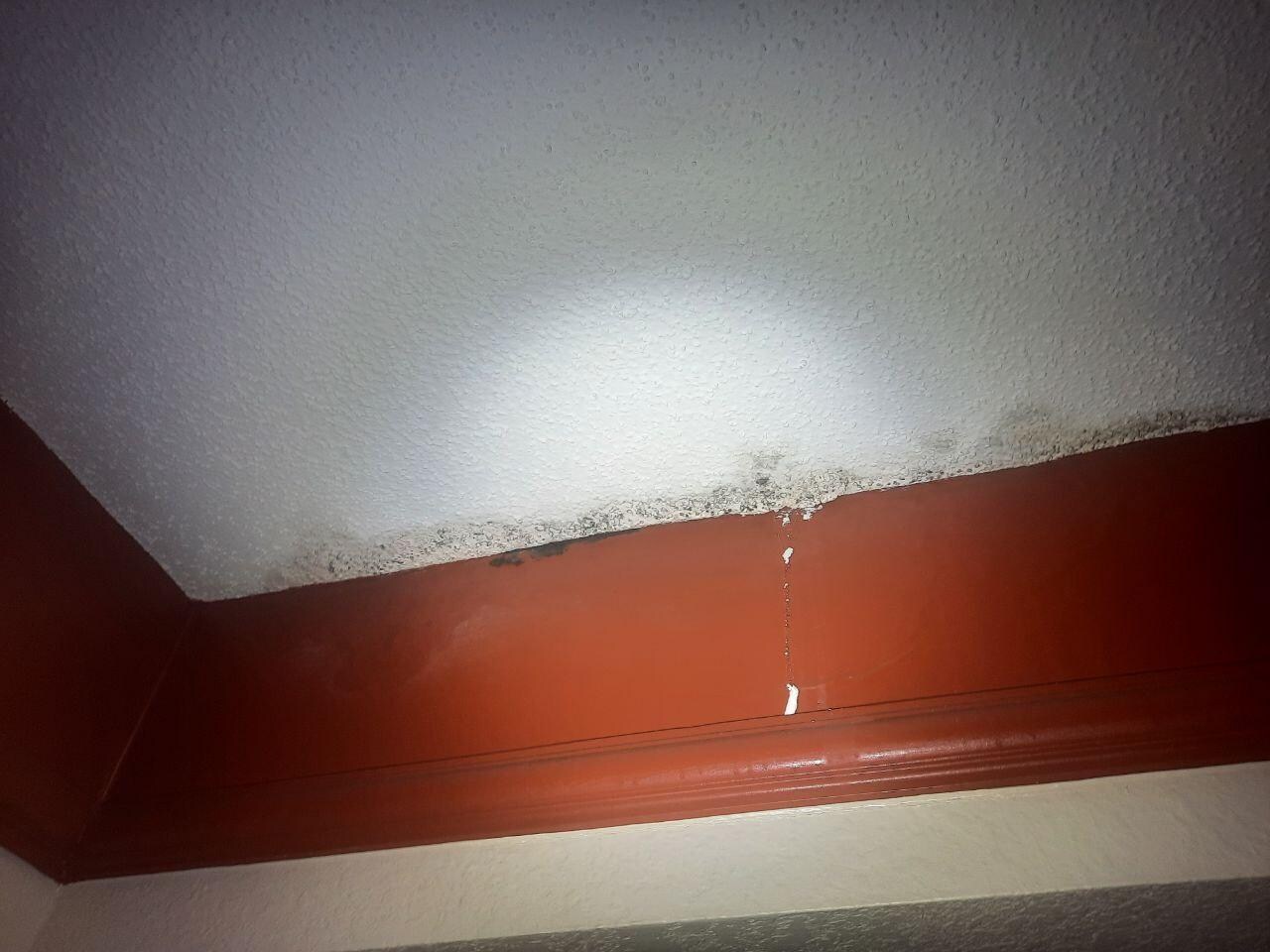 Water leak / mold on room ceiling.