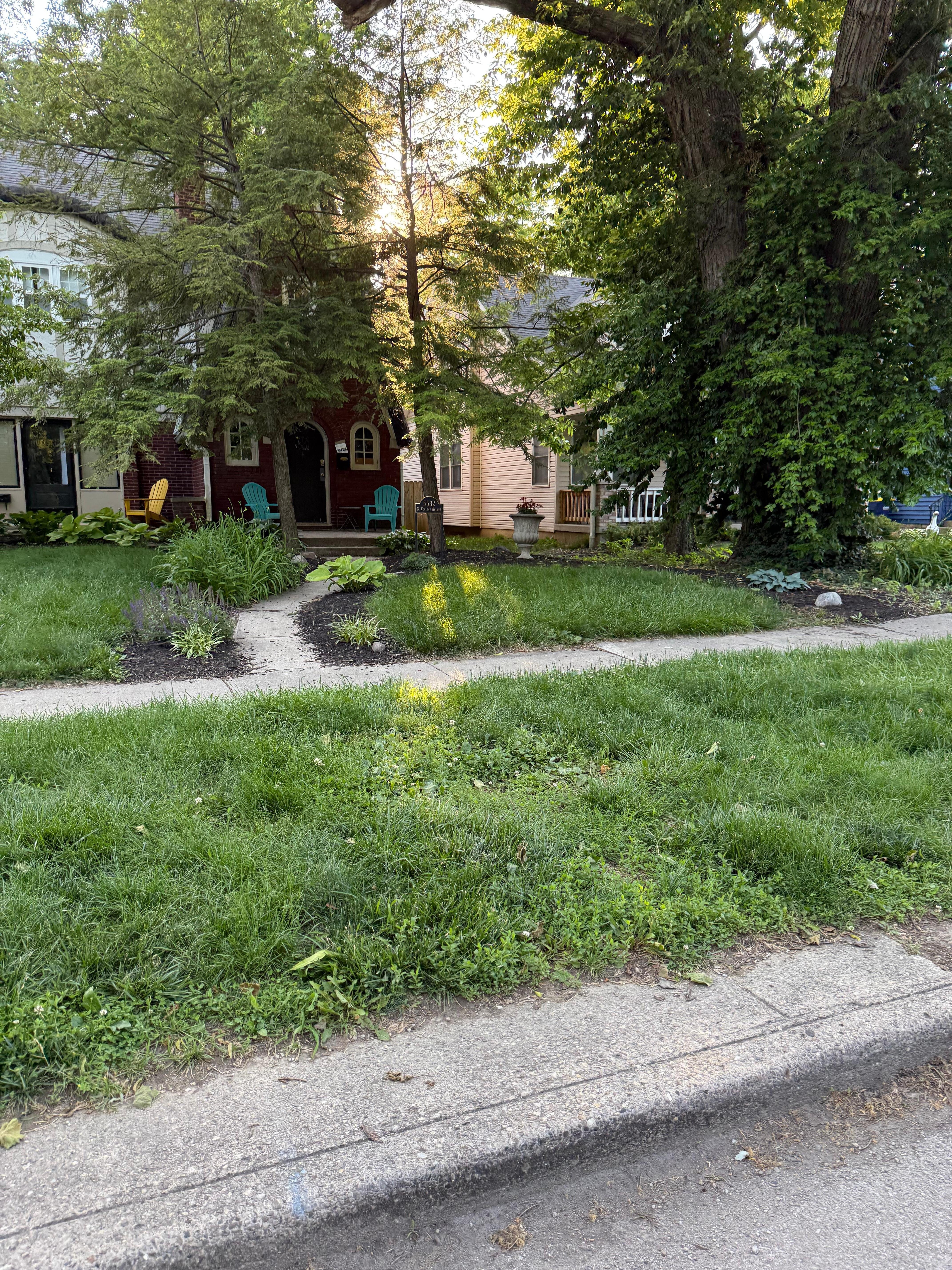 Front lawn, was just as high in the back area too!