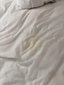 Stains on the sheets before laying in the bed