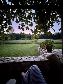 My favorite spot to sit under the grape vine