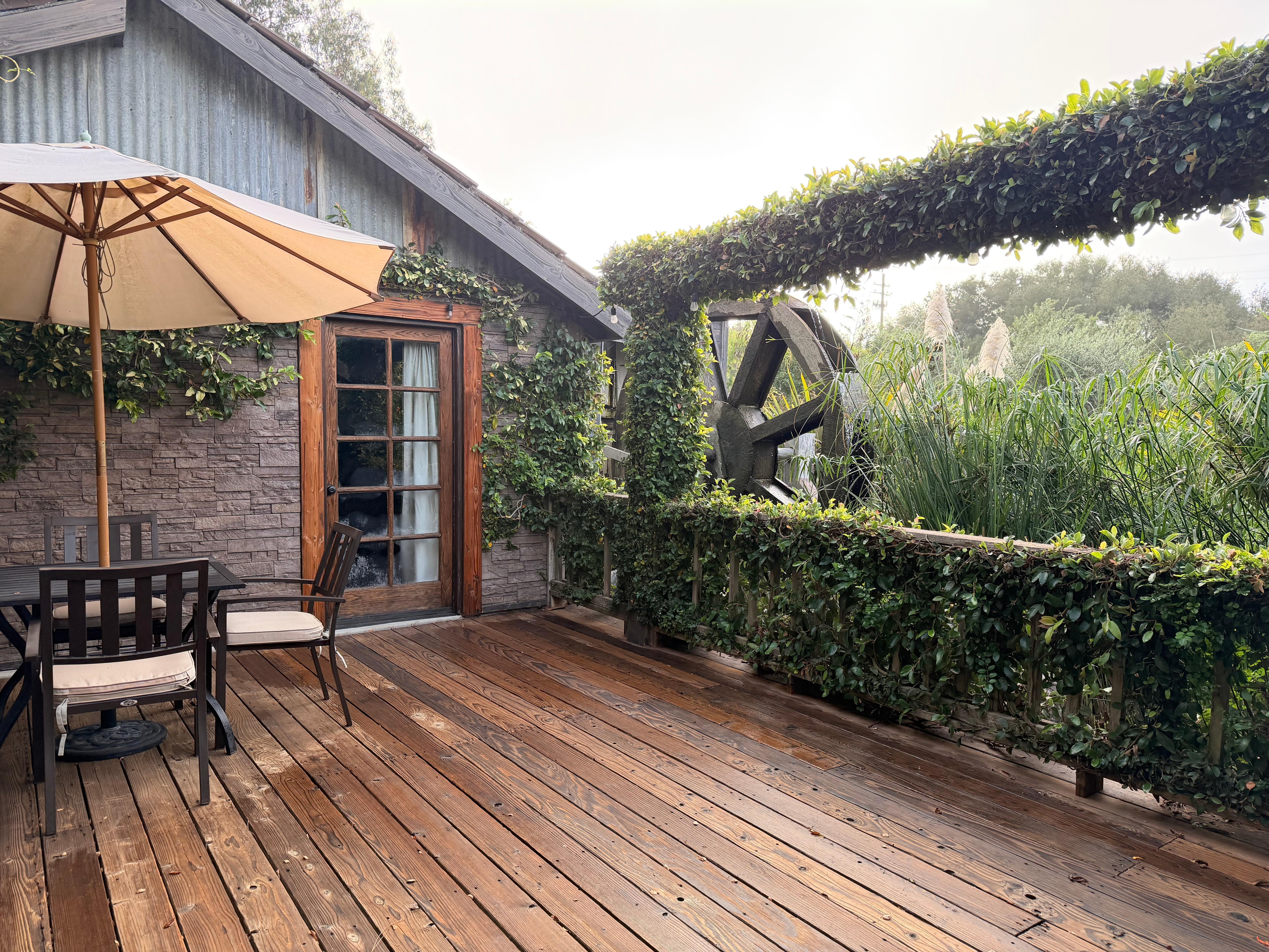 Our own private patio